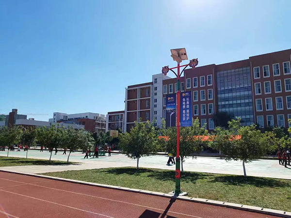 太陽能路燈，太陽能路燈廠家，太陽能路燈價格