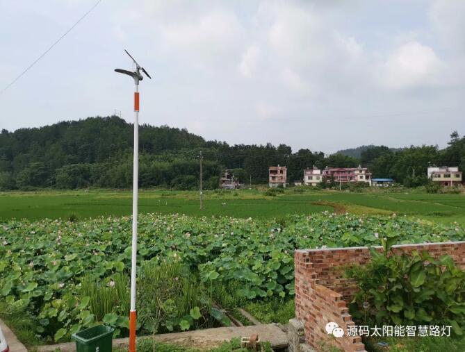 發生在村里的真實對話……看完之后尤生敬意。